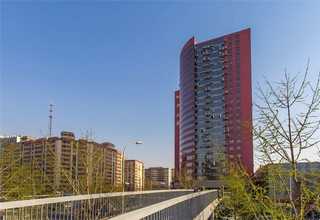 南通大型綠植公司